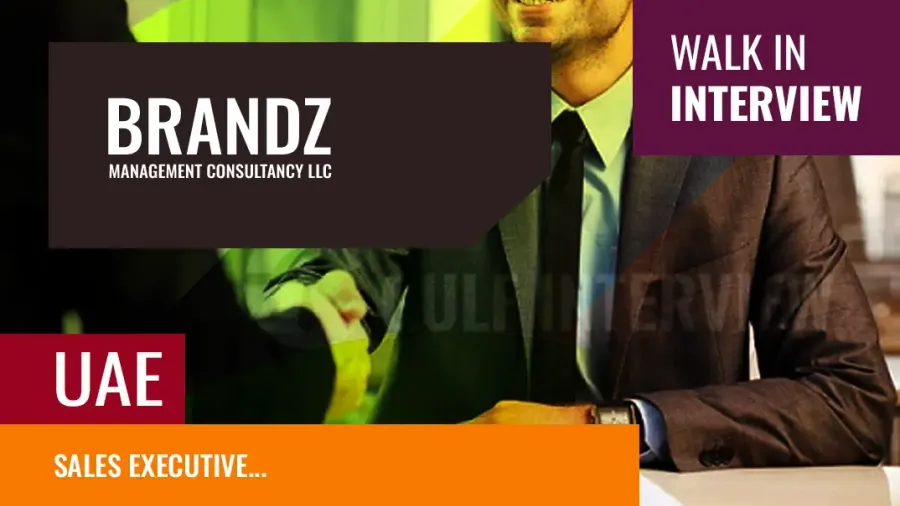 Sales Executive Hiring at Brandz Management Consultancy
