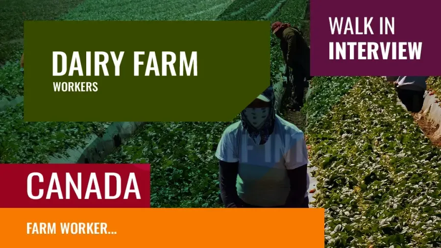 Farm Worker Job in Canada - Want to Work on a Canadian Farm?