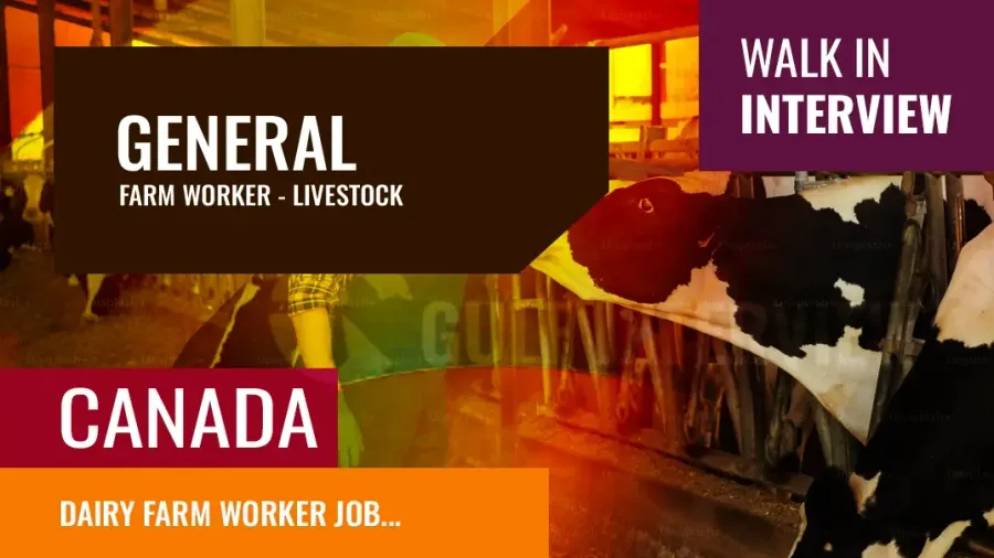 Dairy Farm Worker Job – Apply by July 18, 2025