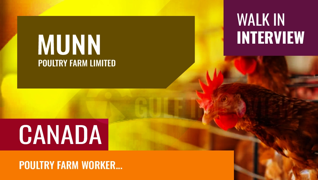 poultry farm worker jobs in whitbourne, nl